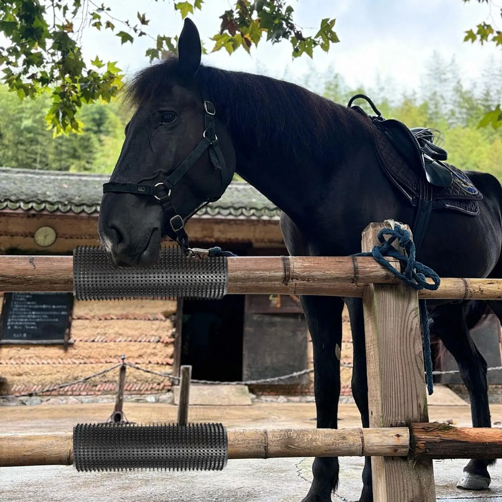 Livestock Scratching Brush Scratching Grooming Massager 2-Piece Horse Scratcher Farm Equipment For Cattle Cow Dog Sheep Farm
Livestock Scratching Brush Scratching Grooming Massager 2-Piece Horse Scratcher Farm Equipment For Cattle Cow Dog Sheep Farm