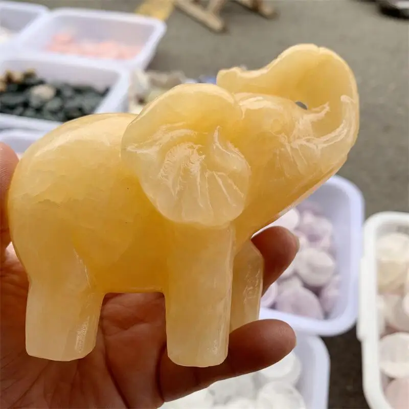 Натуральный оранжевый кальцит, резьба слона, целебный кристалл, фигурка животного, резные камни Рейки, подарок, 1 шт.
Натуральный оранжевый кальцит, резьба слона, целебный кристалл, фигурка животного, резные камни Рейки, подарок, 1 шт.