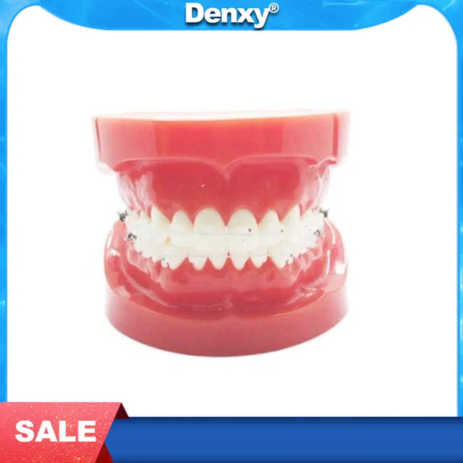 1pc Dentistry Model With Orthodontic Bracket Study Dental Teaching Model Instruction Teeth Orthodontics Ceramic Brace Bracket
1pc Dentistry Model With Orthodontic Bracket Study Dental Teaching Model Instruction Teeth Orthodontics Ceramic Brace Bracket