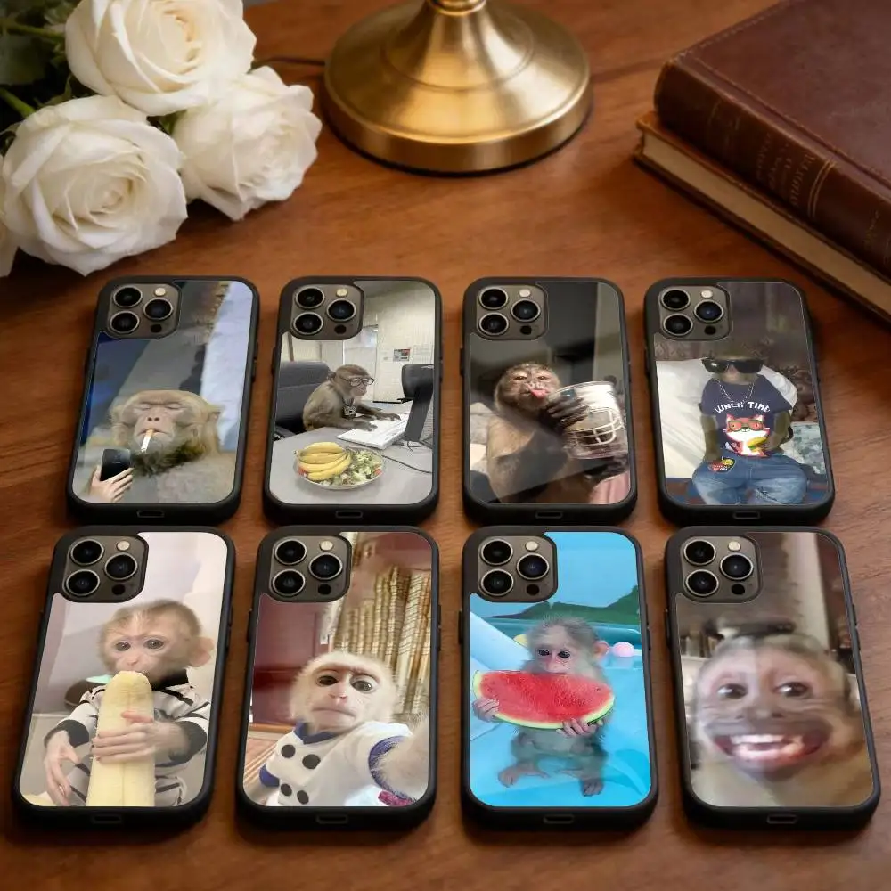 Cute Funny Monkey Phone Case For iPhone 14,16,15,13,17,12,Plus,Pro,Max Magnetic For Magsafe Frosted Cover
Cute Funny Monkey Phone Case For iPhone 14,16,15,13,17,12,Plus,Pro,Max Magnetic For Magsafe Frosted Cover