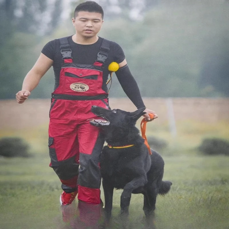 Оборудование для дрессировки собак Guardian, профессиональный тренировочный комбинезон, одежда для дрессировки собак, грязная одежда с защитой от царапин, тренировочная одежда для собак
Оборудование для дрессировки собак Guardian, профессиональный тренировочный комбинезон, одежда для дрессировки собак, грязная одежда с защитой от царапин, тренировочная одежда для собак