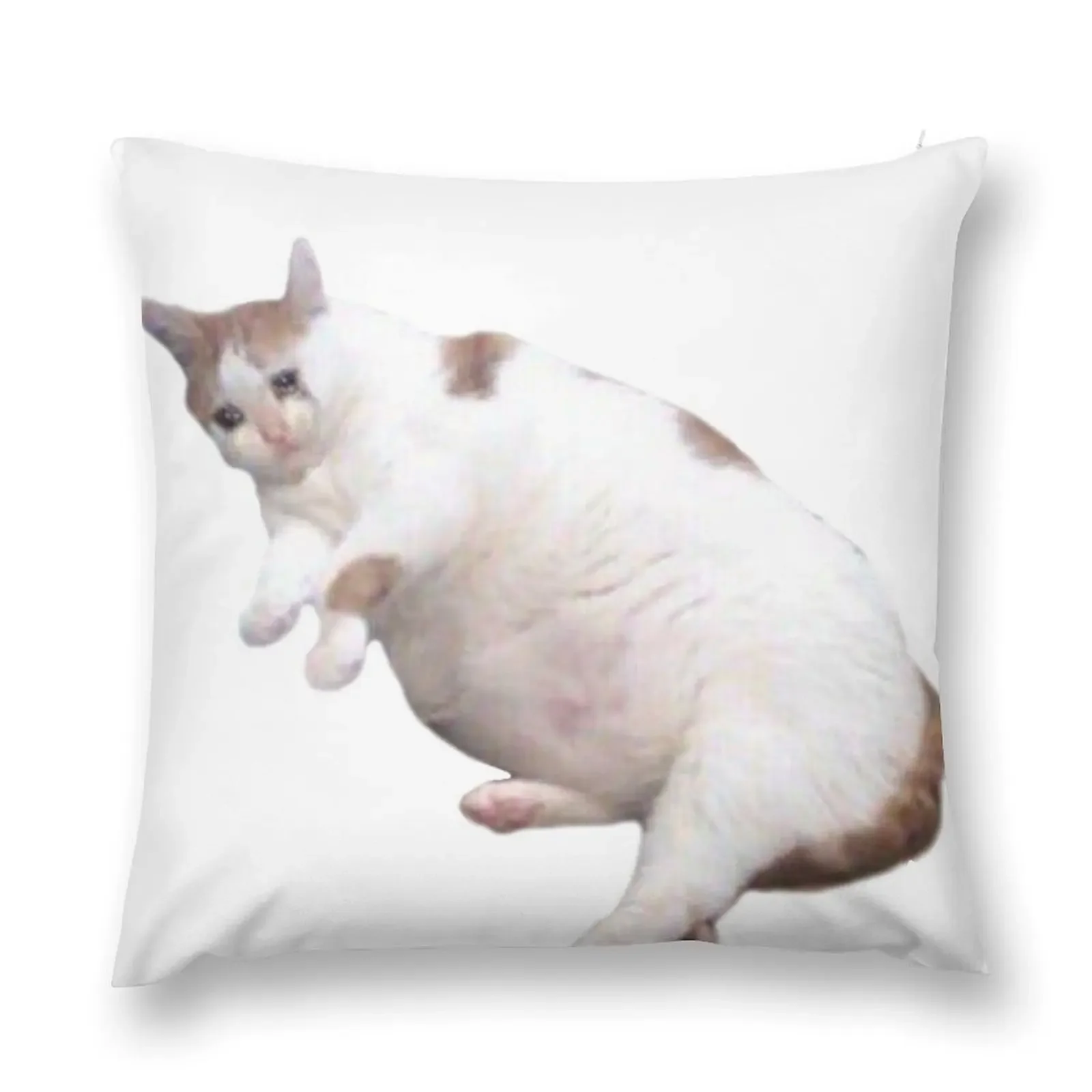Fat crying cat Throw Pillow Christmas Throw Pillows Covers sleeping pillows Sofa Cushions Cover pillow
Fat crying cat Throw Pillow Christmas Throw Pillows Covers sleeping pillows Sofa Cushions Cover pillow