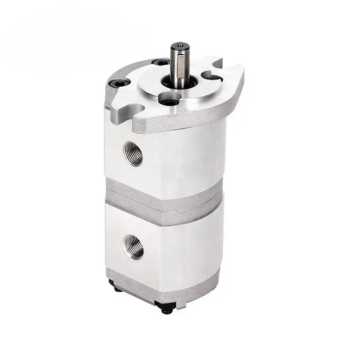 High Quality Price Is Favorable HGP-11A Double Gear Pump Small Miniature Hydraulic Gear Pump Oil Pump
High Quality Price Is Favorable HGP-11A Double Gear Pump Small Miniature Hydraulic Gear Pump Oil Pump