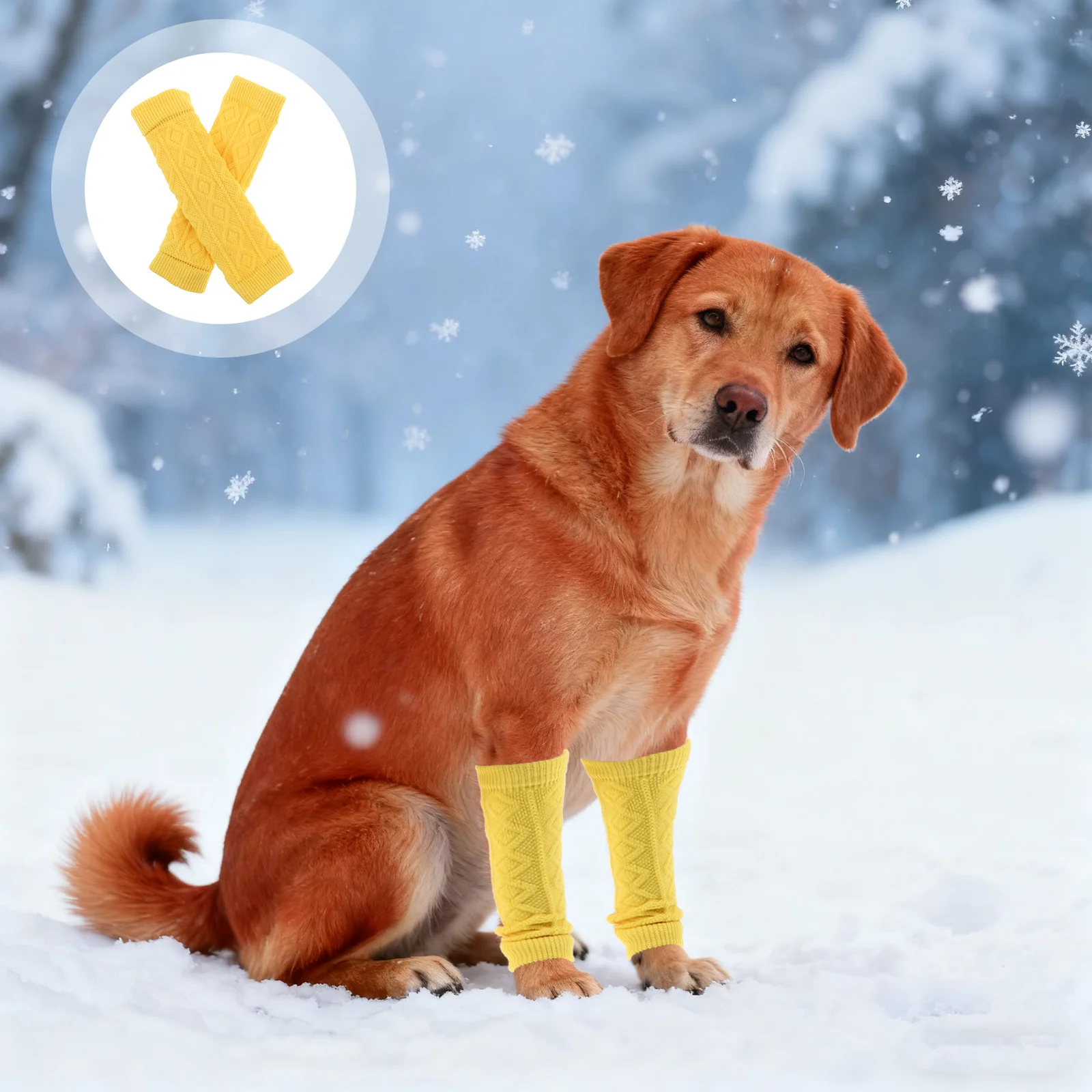 Protective Footwear Soft Breathable Nonslip Shoes for Dogs Cats Outdoor Activities Running Walking Pet Care
Protective Footwear Soft Breathable Nonslip Shoes for Dogs Cats Outdoor Activities Running Walking Pet Care