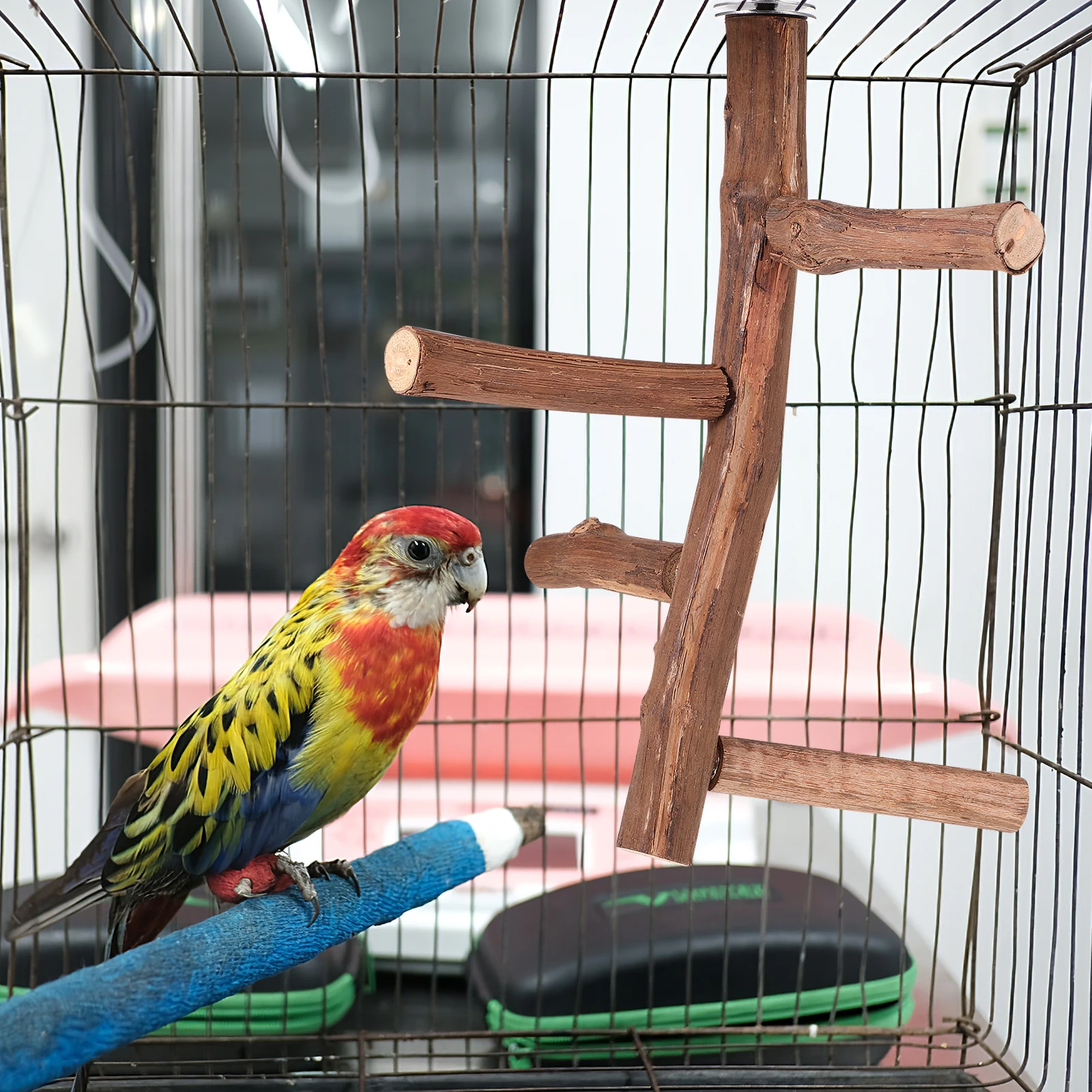 Parrot Training Frame Vegetable Clips Perch Stand Wood Bird Perches For Cage Multiple Branches Rough Surface For Climbing
Parrot Training Frame Vegetable Clips Perch Stand Wood Bird Perches For Cage Multiple Branches Rough Surface For Climbing