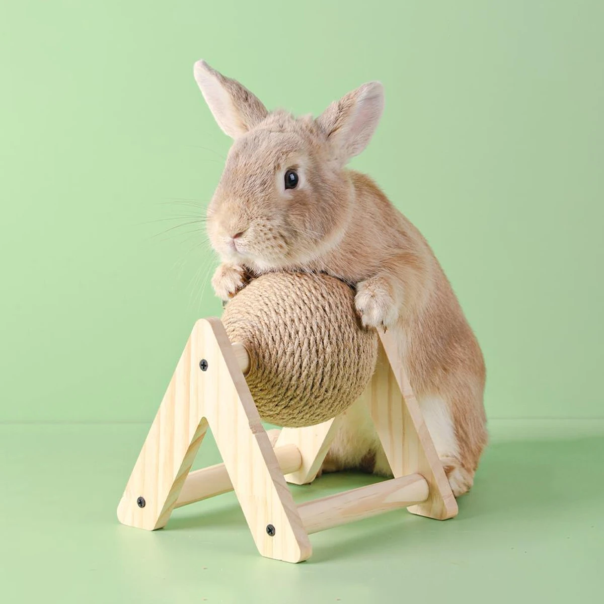Pet Rabbit Teething Toys Stress Relief Spinning Ball Claw Grinding Boards Small Pet Rabbit Training Kitten Chewing Resistant Toy
Pet Rabbit Teething Toys Stress Relief Spinning Ball Claw Grinding Boards Small Pet Rabbit Training Kitten Chewing Resistant Toy