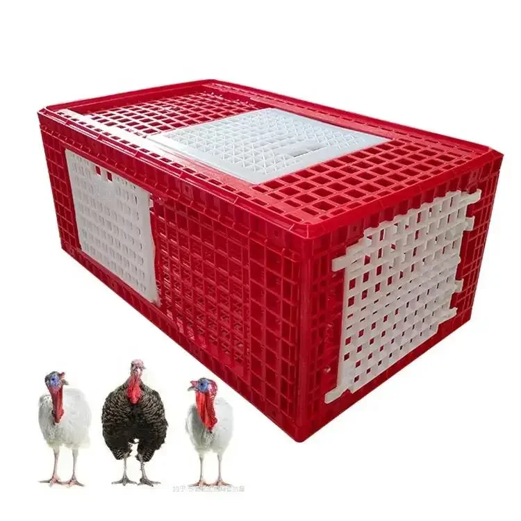 Disassembled Cage Live Poultry Transportation Cage Goose Box Transported Turkey Poultry Transport Crate Box Cage
Disassembled Cage Live Poultry Transportation Cage Goose Box Transported Turkey Poultry Transport Crate Box Cage