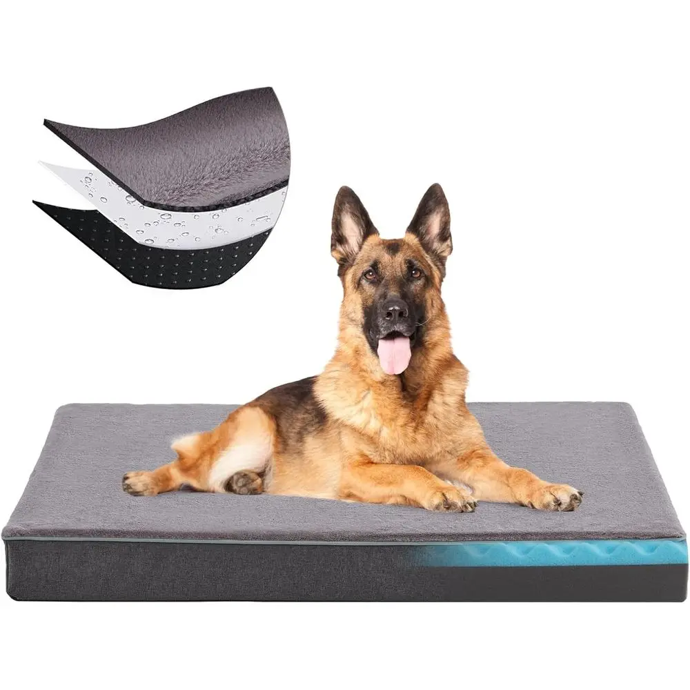 XX-Large Cooling Gel Dog Bed with Removable Cover for Arthritic Dogs up to 110 lbs (Grey, 50x34x5)
XX-Large Cooling Gel Dog Bed with Removable Cover for Arthritic Dogs up to 110 lbs (Grey, 50x34x5)