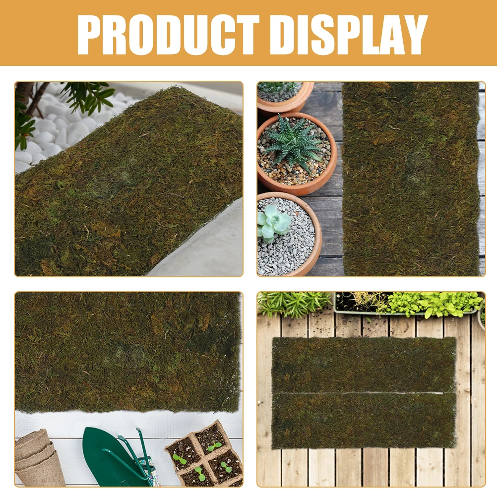 Artificial Moss 30cmx120cm Realistic Turf Decorative Micro Landscape Accessory Fake Moss Pad for Landscape Accessory
Artificial Moss 30cmx120cm Realistic Turf Decorative Micro Landscape Accessory Fake Moss Pad for Landscape Accessory