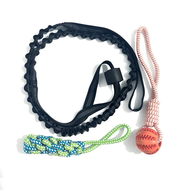 Spring Pole Dog Rope Toys, Dog Interactive Tether Tug of War Toy Indoor Outdoor Bungee Hanging Dogs Toy
Spring Pole Dog Rope Toys, Dog Interactive Tether Tug of War Toy Indoor Outdoor Bungee Hanging Dogs Toy