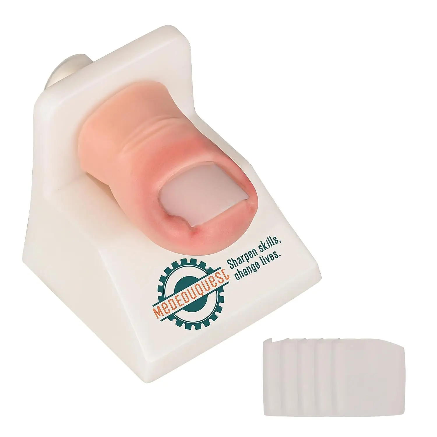 Medarchitect Ingrown Toenail Trainer Kit Wound Care Model Improve toenail extract technique for Medic Educate Clinical Podiatry
Medarchitect Ingrown Toenail Trainer Kit Wound Care Model Improve toenail extract technique for Medic Educate Clinical Podiatry