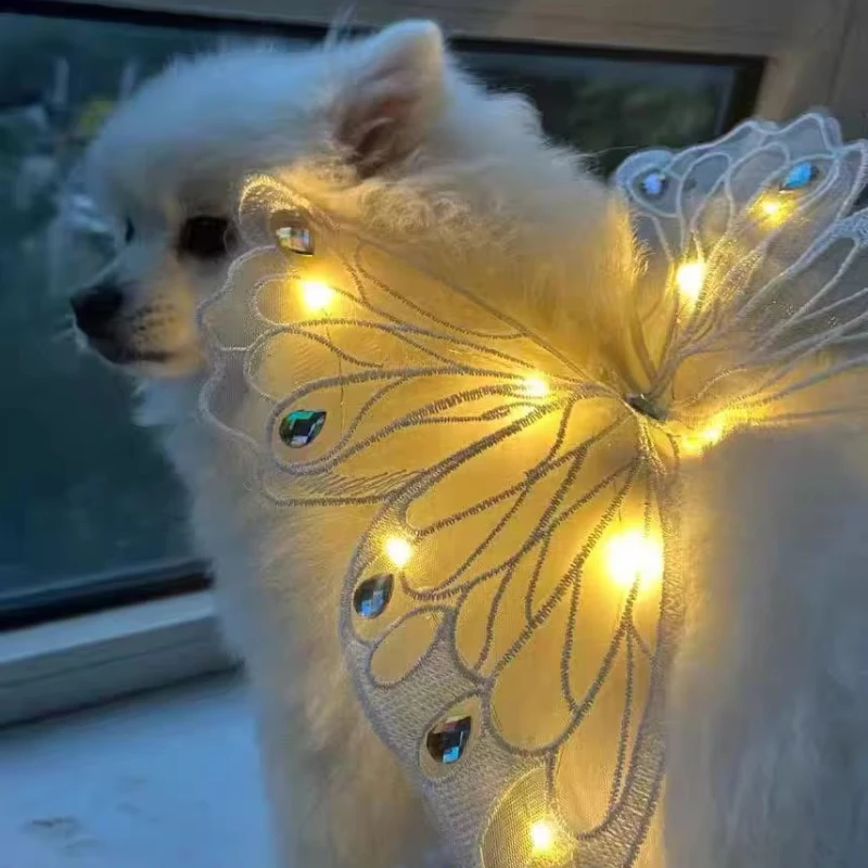 Dog wings glowing butterfly back decoration puppy summer clothes chest back decoration small dog Pomeranian Teddy Bigbear
Dog wings glowing butterfly back decoration puppy summer clothes chest back decoration small dog Pomeranian Teddy Bigbear