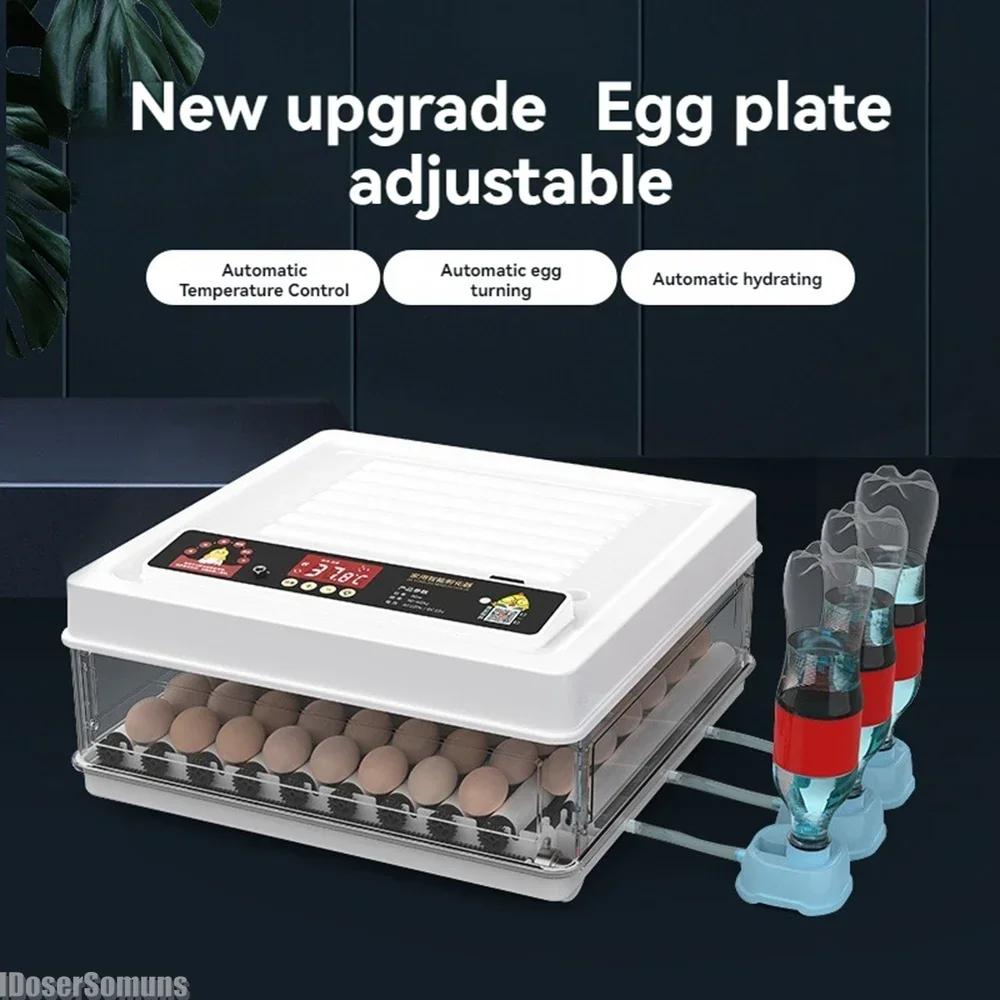 Dual Power Small Incubator Incubator Fully Rudin Chicken Egg Holding Portable Warming Machine Household Egging Machine Automatic
Dual Power Small Incubator Incubator Fully Rudin Chicken Egg Holding Portable Warming Machine Household Egging Machine Automatic