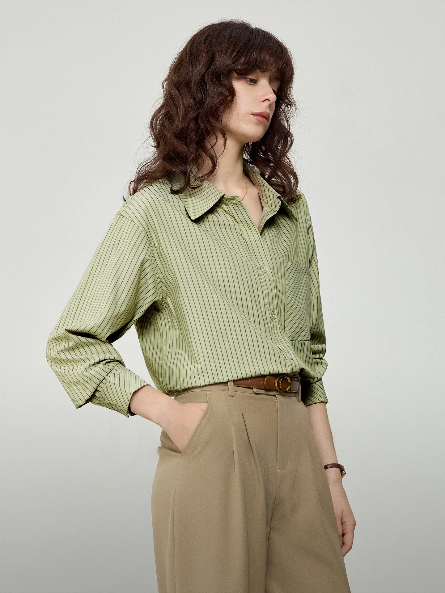 Classic Never out of Style Aya Home Green Striped Long Sleeve Shirt Women's Spring Autumn Commute Layering Business Shirt
Classic Never out of Style Aya Home Green Striped Long Sleeve Shirt Women's Spring Autumn Commute Layering Business Shirt