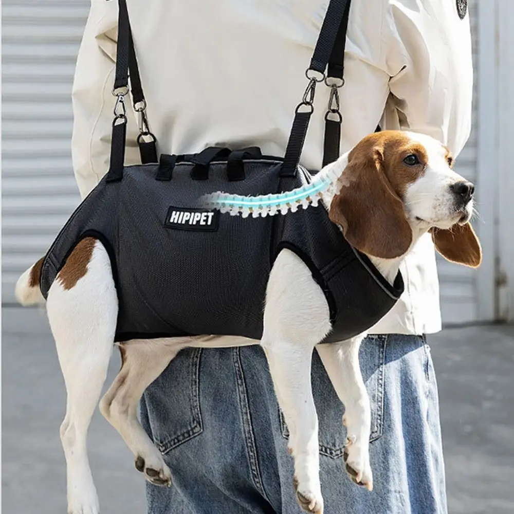Breathable Pet Outing Backpack Adjustable Strap Portable Dog Lift Harness Comfortable Full Support Four Legs Carrying Bag Travel
Breathable Pet Outing Backpack Adjustable Strap Portable Dog Lift Harness Comfortable Full Support Four Legs Carrying Bag Travel