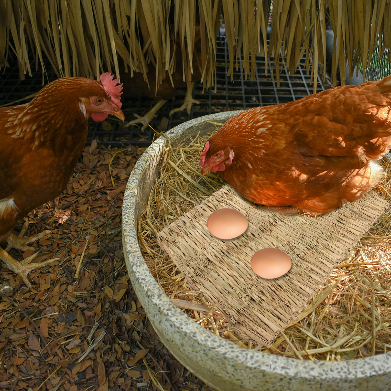 6Pcs Chicken Coop Grass Mats Natural Woven Nesting Pads Cushions for Egg Protection Small Pets Rabbit Bed Nesting Grass Pads 
6Pcs Chicken Coop Grass Mats Natural Woven Nesting Pads Cushions for Egg Protection Small Pets Rabbit Bed Nesting Grass Pads