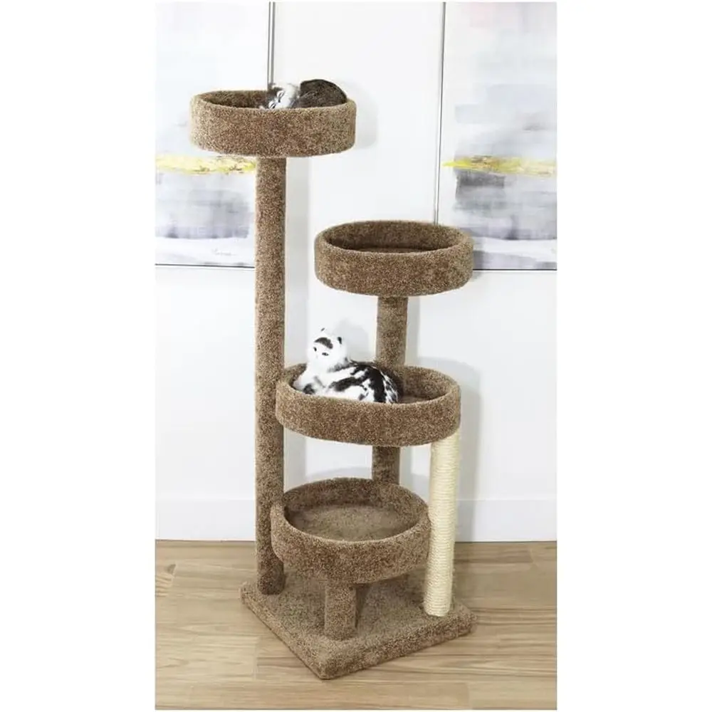 Стильное 48-кошачье лазание с несколькими когтеточками и удобными жердочками
Стильное 48-кошачье лазание с несколькими когтеточками и удобными жердочками