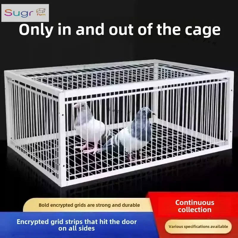 Высококачественная зашифрованная автоматическая клетка для голубей для использования на открытом воздухе — отлично подходит для коллекции голубей Lawful
Высококачественная зашифрованная автоматическая клетка для голубей для использования на открытом воздухе — отлично подходит для коллекции голубей Lawful