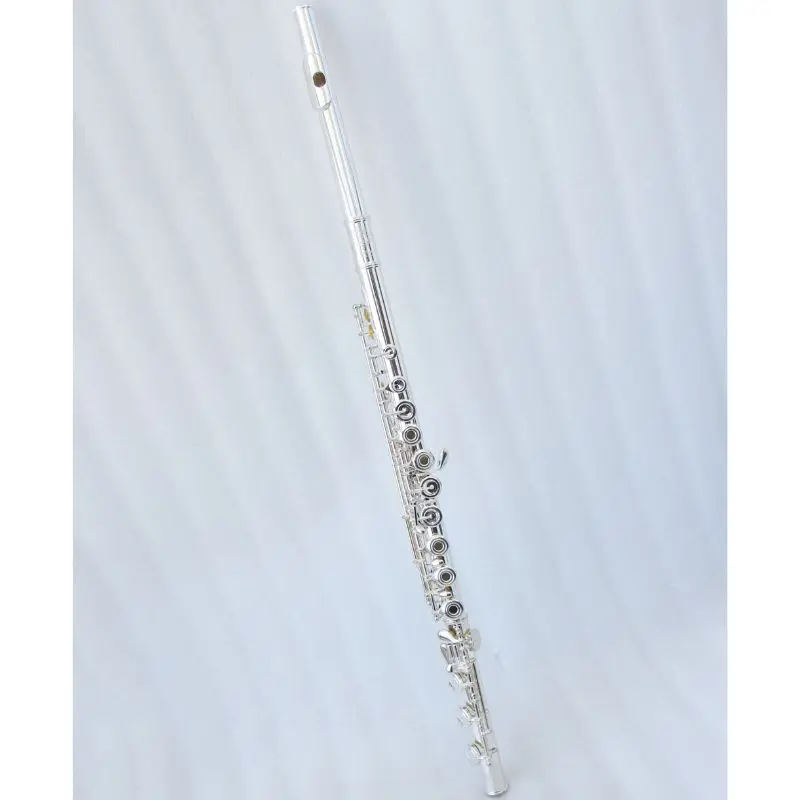 Chinese Flute 17 Holes Open Hole Cupronickel Flute Instrument
Chinese Flute 17 Holes Open Hole Cupronickel Flute Instrument