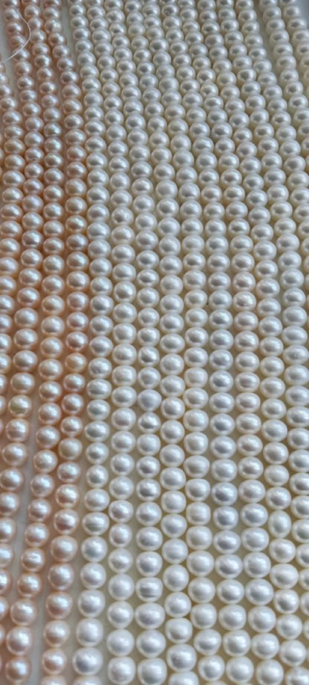 Single Row/New AAAA9-10mm Natural South Sea Round Pearl Necklace 18 inch/925s
Single Row/New AAAA9-10mm Natural South Sea Round Pearl Necklace 18 inch/925s