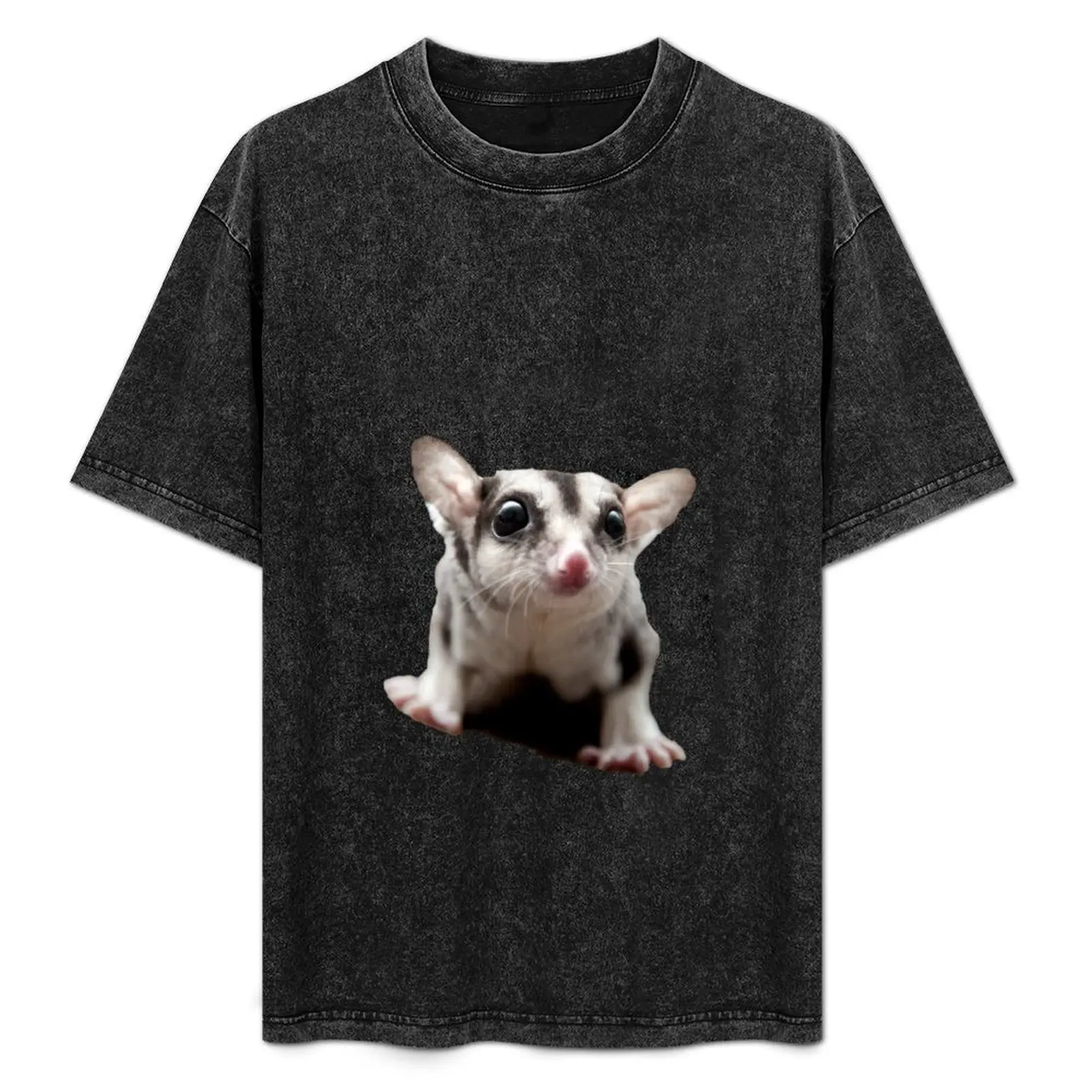 Sugar Glider T-Shirt Outdoor Working T-Shirt
Sugar Glider T-Shirt Outdoor Working T-Shirt