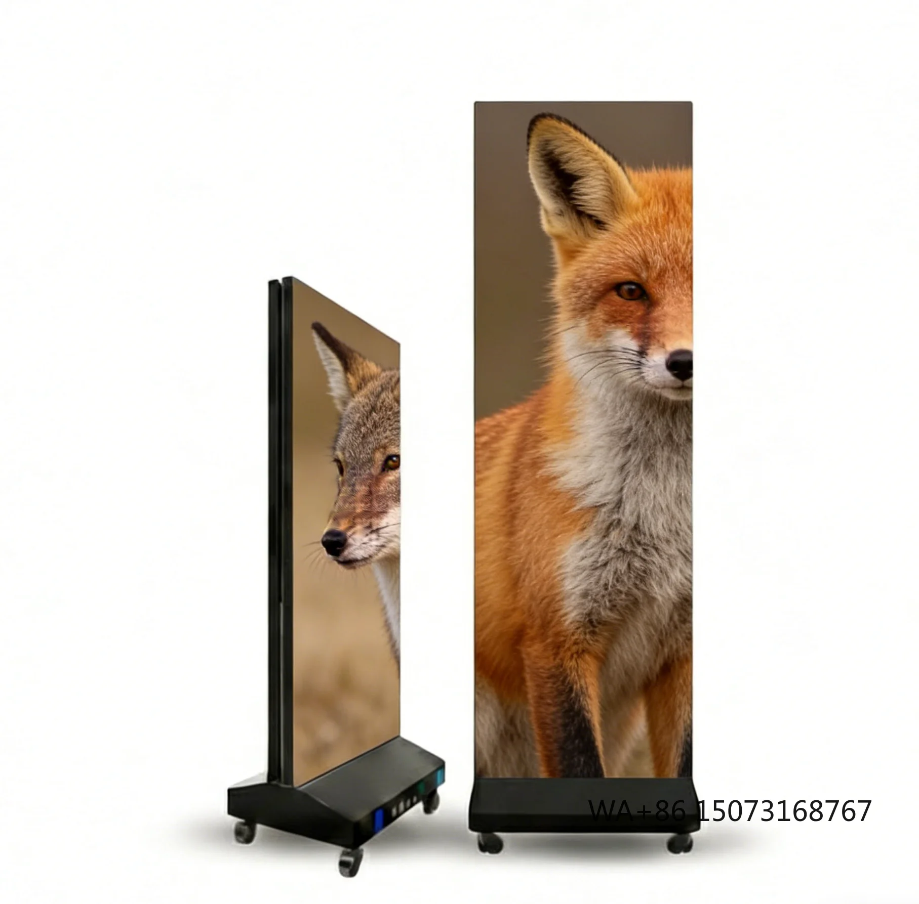Ultra Thin Wall Mount Small Pixel Pitch HDR10 1000cd Brightness 3840Hz 170 Viewing Angle Poster LED Display Screen Adobe RGB
Ultra Thin Wall Mount Small Pixel Pitch HDR10 1000cd Brightness 3840Hz 170 Viewing Angle Poster LED Display Screen Adobe RGB