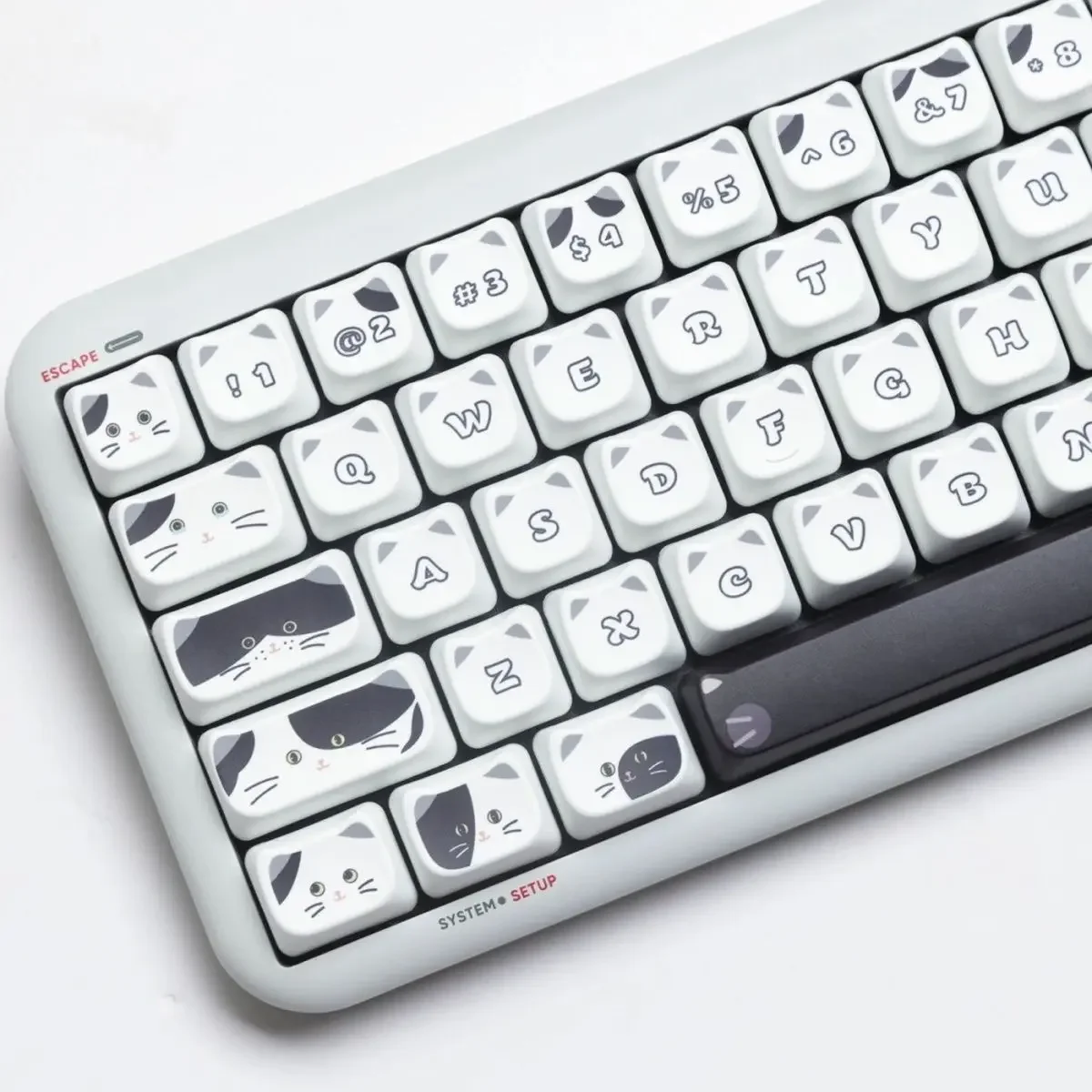Black and white kitten keycaps MAO height pbt sublimation non-keyboard 75.84.68.87 98.104.108 Qiu Tian
Black and white kitten keycaps MAO height pbt sublimation non-keyboard 75.84.68.87 98.104.108 Qiu Tian