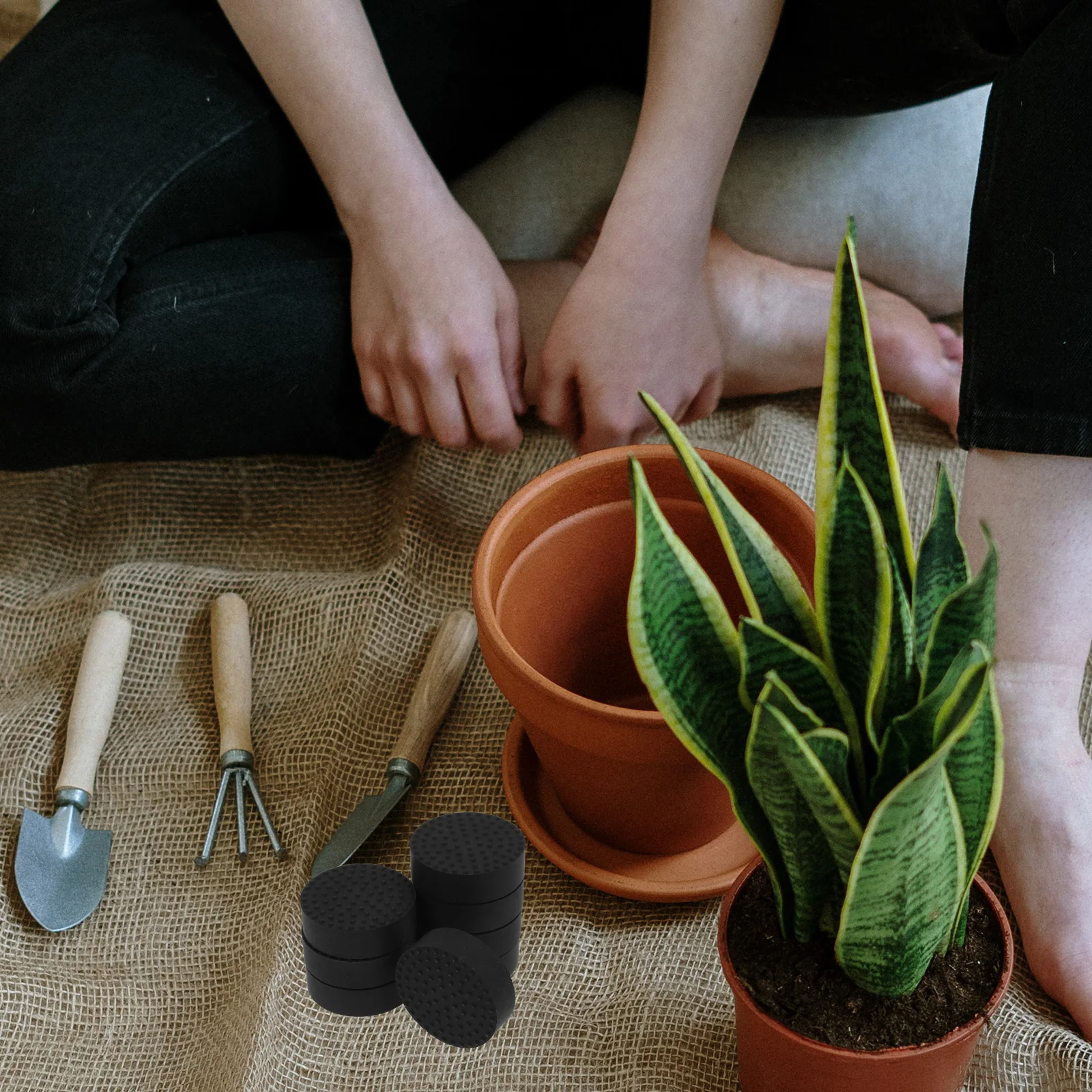 8 Pcs Anti-slip Flower Pot Mat Texture Planter Bottom Pad Rubber Plant Pot Feet Gardening Accessories Planter Round Pad
8 Pcs Anti-slip Flower Pot Mat Texture Planter Bottom Pad Rubber Plant Pot Feet Gardening Accessories Planter Round Pad