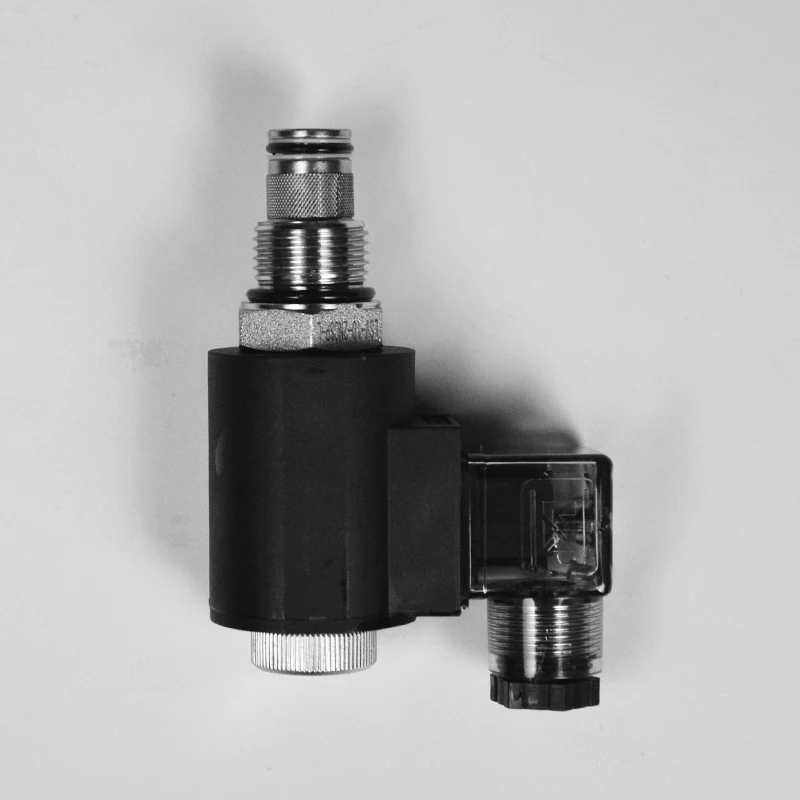 Two position two way threaded plug-in solenoid valve bidirectional normally closed shut-off return DHF10-228 SV10-28 2NCSP
Two position two way threaded plug-in solenoid valve bidirectional normally closed shut-off return DHF10-228 SV10-28 2NCSP