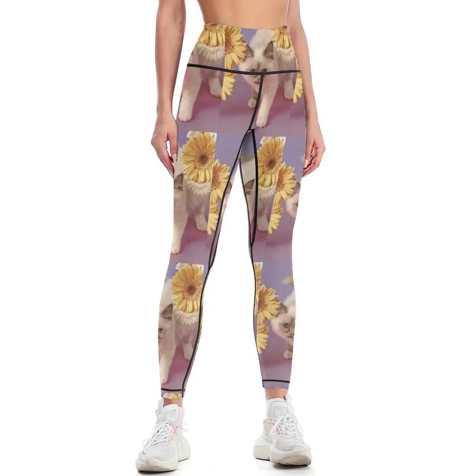 Kitten Leggings legging push up Clothing fitness Fitness woman leggins push up woman Womens Leggings
Kitten Leggings legging push up Clothing fitness Fitness woman leggins push up woman Womens Leggings