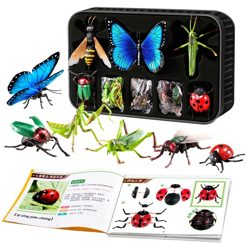 Educational 4D Assembled Puzzle Child Simulation Insect Models - Butterfly Bee Mantis Action Figures - Kid Toy Gift
Educational 4D Assembled Puzzle Child Simulation Insect Models - Butterfly Bee Mantis Action Figures - Kid Toy Gift