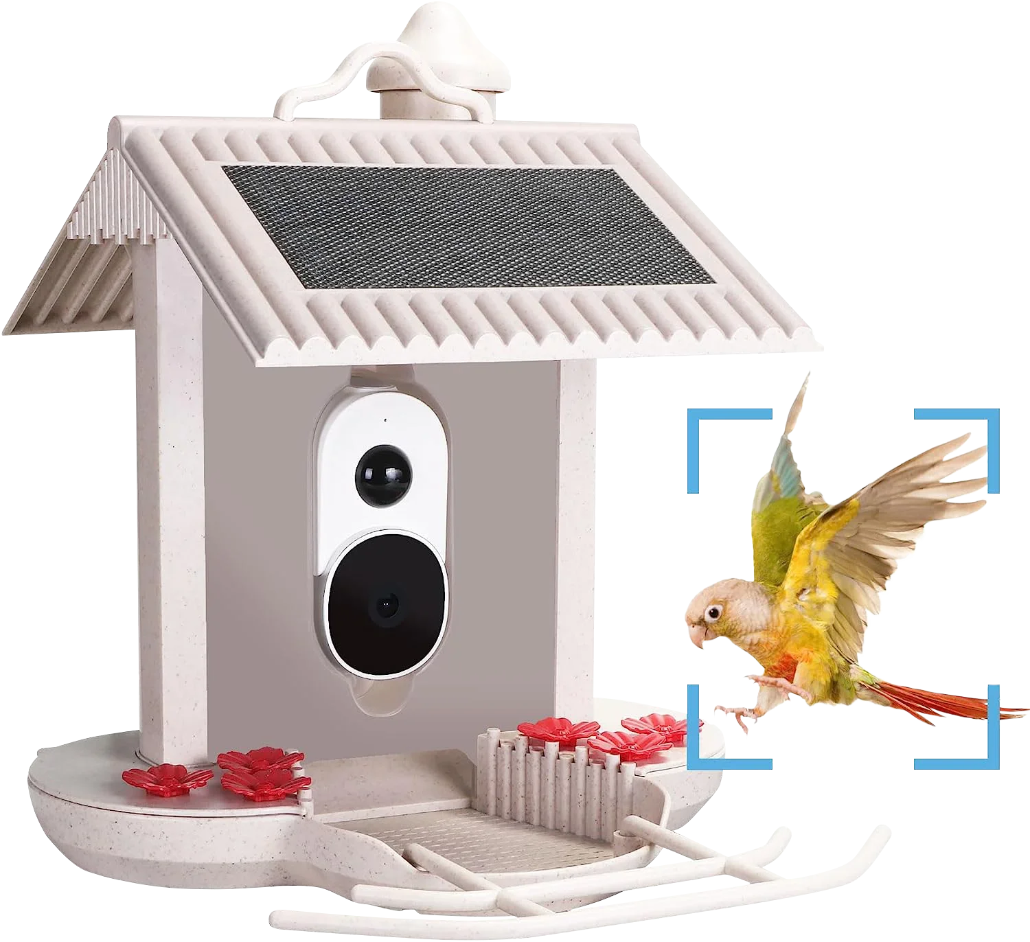 Bird Buddy 5200mAh Audible Alarm Ai Identify 10000+ Bird Species Smart Feeder Solar Panel IP65 Waterproof Window Bird Feeder
Bird Buddy 5200mAh Audible Alarm Ai Identify 10000+ Bird Species Smart Feeder Solar Panel IP65 Waterproof Window Bird Feeder