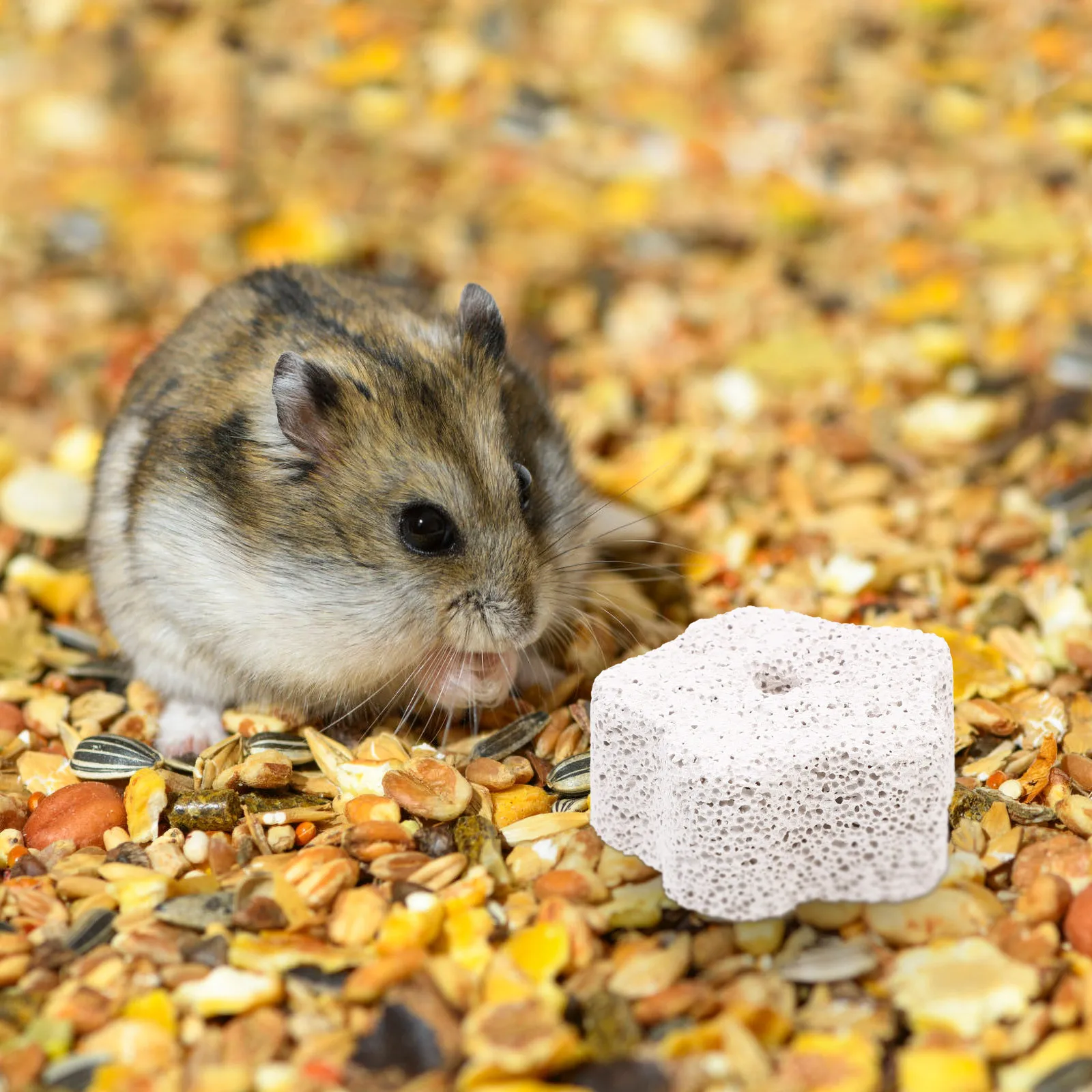 15Pcs Rabbit Hamster Molar Stones Small Pet Chewing Aid Teeth Grinding Stone Dental Exercise Biting Behavior Control
15Pcs Rabbit Hamster Molar Stones Small Pet Chewing Aid Teeth Grinding Stone Dental Exercise Biting Behavior Control