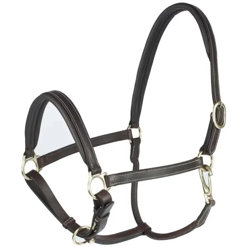 Premium Popular Elegant Adjustable Fashionable Padded Leather Horse Halter Perfect for Show and Ring
Premium Popular Elegant Adjustable Fashionable Padded Leather Horse Halter Perfect for Show and Ring