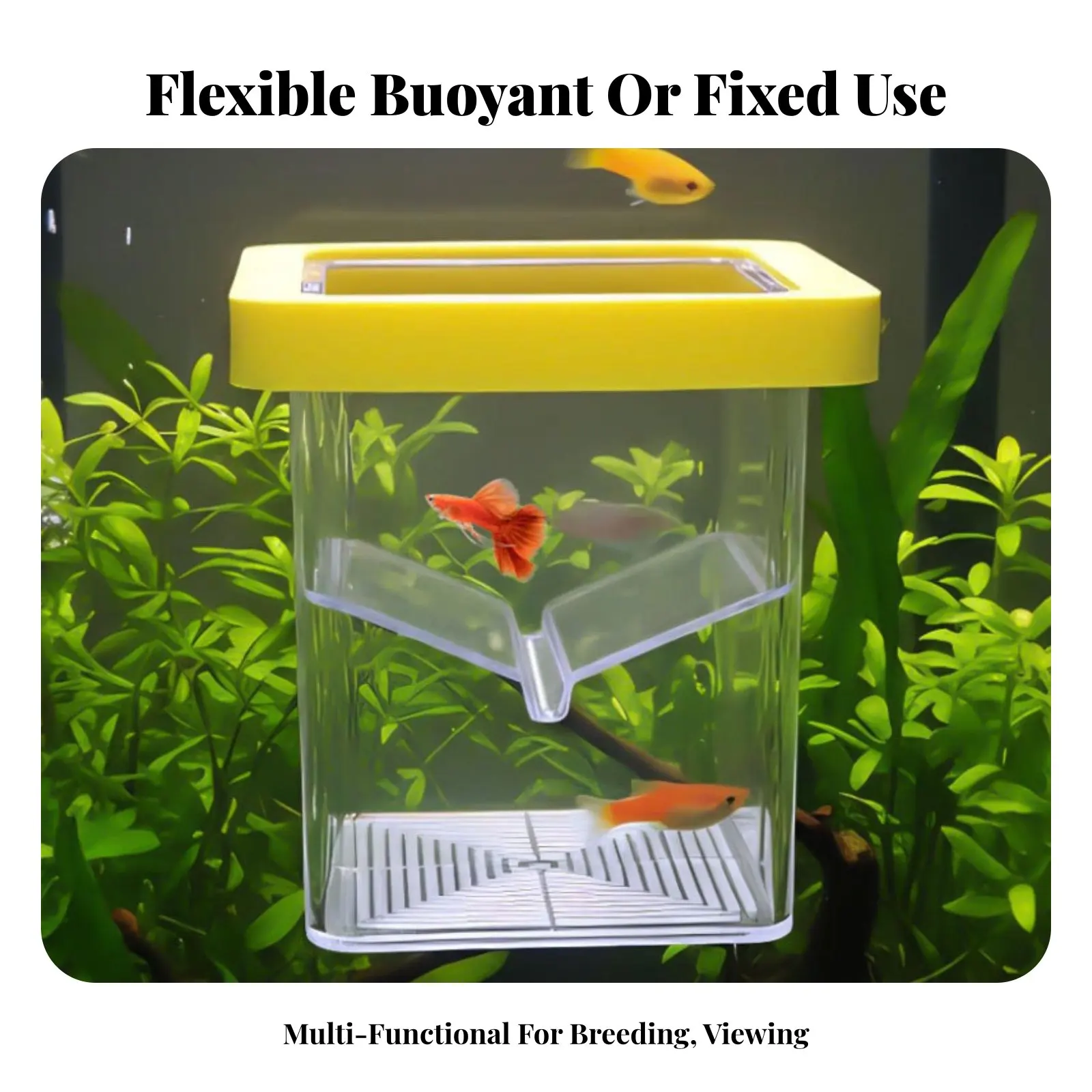 Aquatic Breeding Box Removable Divider Buoyant Aquatic Hatchery Aquatic Habitat Breeder Box Detachable Thickened Material
Aquatic Breeding Box Removable Divider Buoyant Aquatic Hatchery Aquatic Habitat Breeder Box Detachable Thickened Material