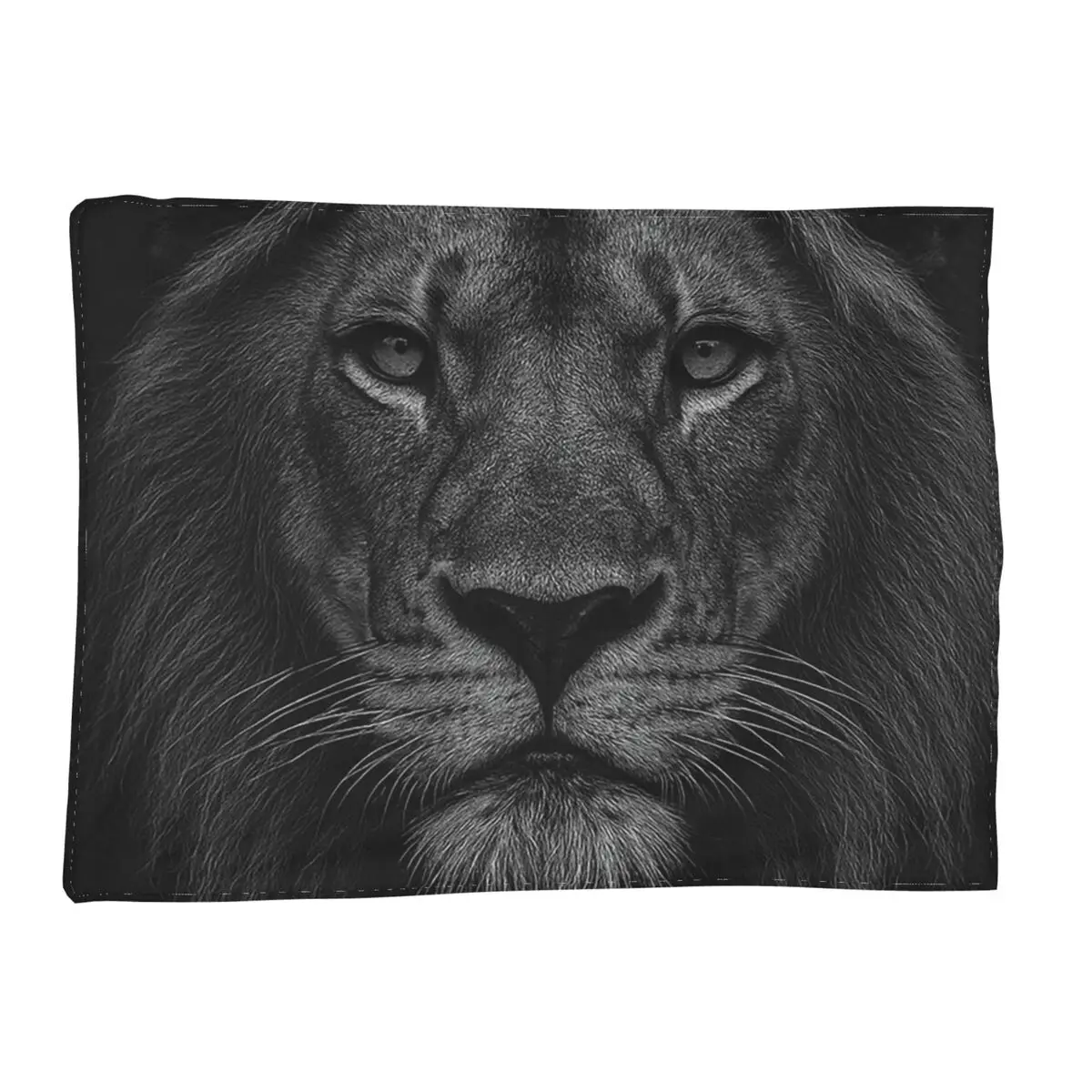 Lion Colourful Painting Blanket Soft Warm Flannel Throw Blanket Plush for Bed Living room Picnic Travel Home Couch 
Lion Colourful Painting Blanket Soft Warm Flannel Throw Blanket Plush for Bed Living room Picnic Travel Home Couch