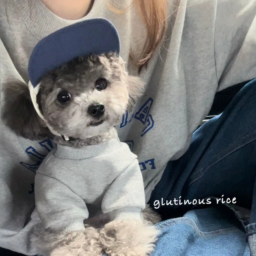Korean Casual Two Color Splicing Pet Sun Cap Creamy Letter Embroidery Adjustable Strap Puppy Visor Hat for Daily & Photo Shootin
Korean Casual Two Color Splicing Pet Sun Cap Creamy Letter Embroidery Adjustable Strap Puppy Visor Hat for Daily & Photo Shootin