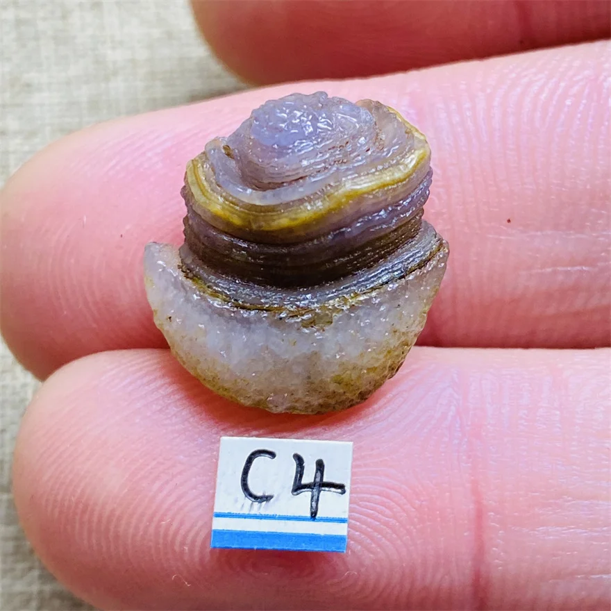 Natural Color Alxa Agate Mini Pendant DIY Witchcraft Chakra Stone Energy Crystal Healing Reiki Gift Gem Collection
Natural Color Alxa Agate Mini Pendant DIY Witchcraft Chakra Stone Energy Crystal Healing Reiki Gift Gem Collection