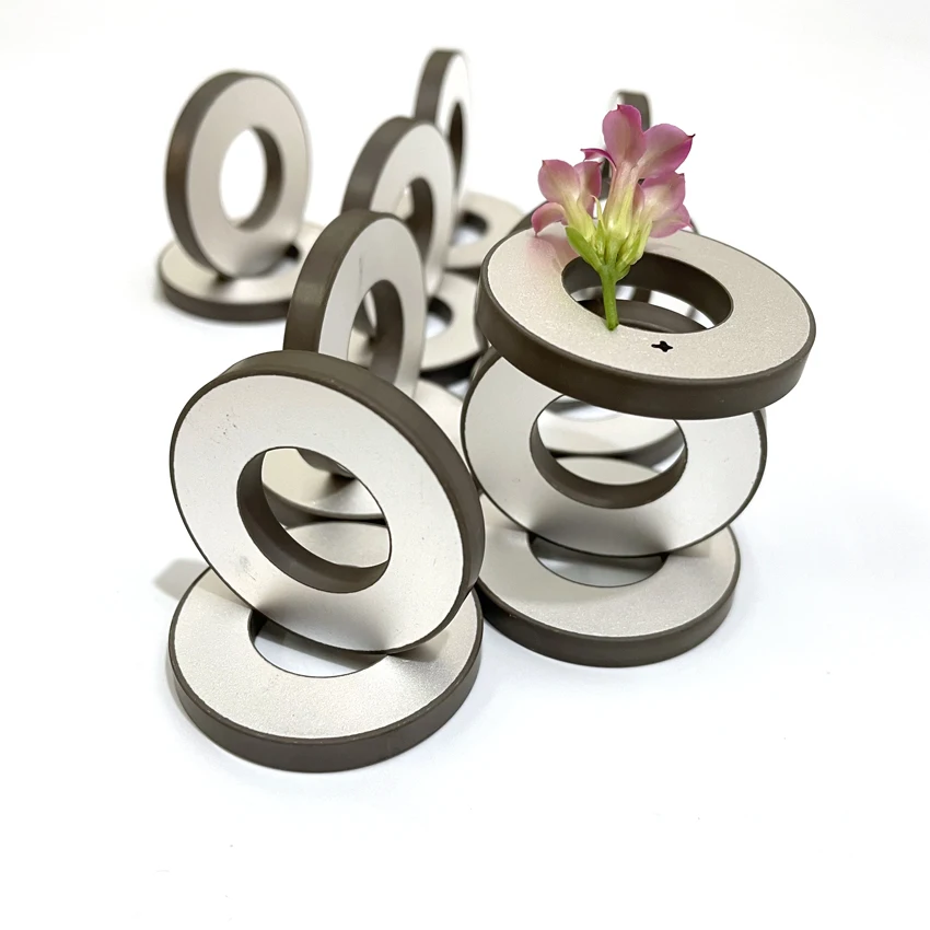 China Supplier 40*20*5mm Piezoelectric Ceramic Ring For Ultrasonic Transducer Cleaner Or Welder
China Supplier 40*20*5mm Piezoelectric Ceramic Ring For Ultrasonic Transducer Cleaner Or Welder