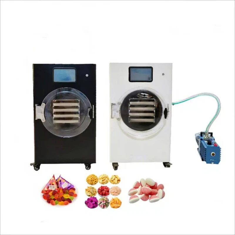 Large-Scale Freeze Dryer 6-10Kg Capacity Food Processing Automatic 220V Competitive Price
Large-Scale Freeze Dryer 6-10Kg Capacity Food Processing Automatic 220V Competitive Price