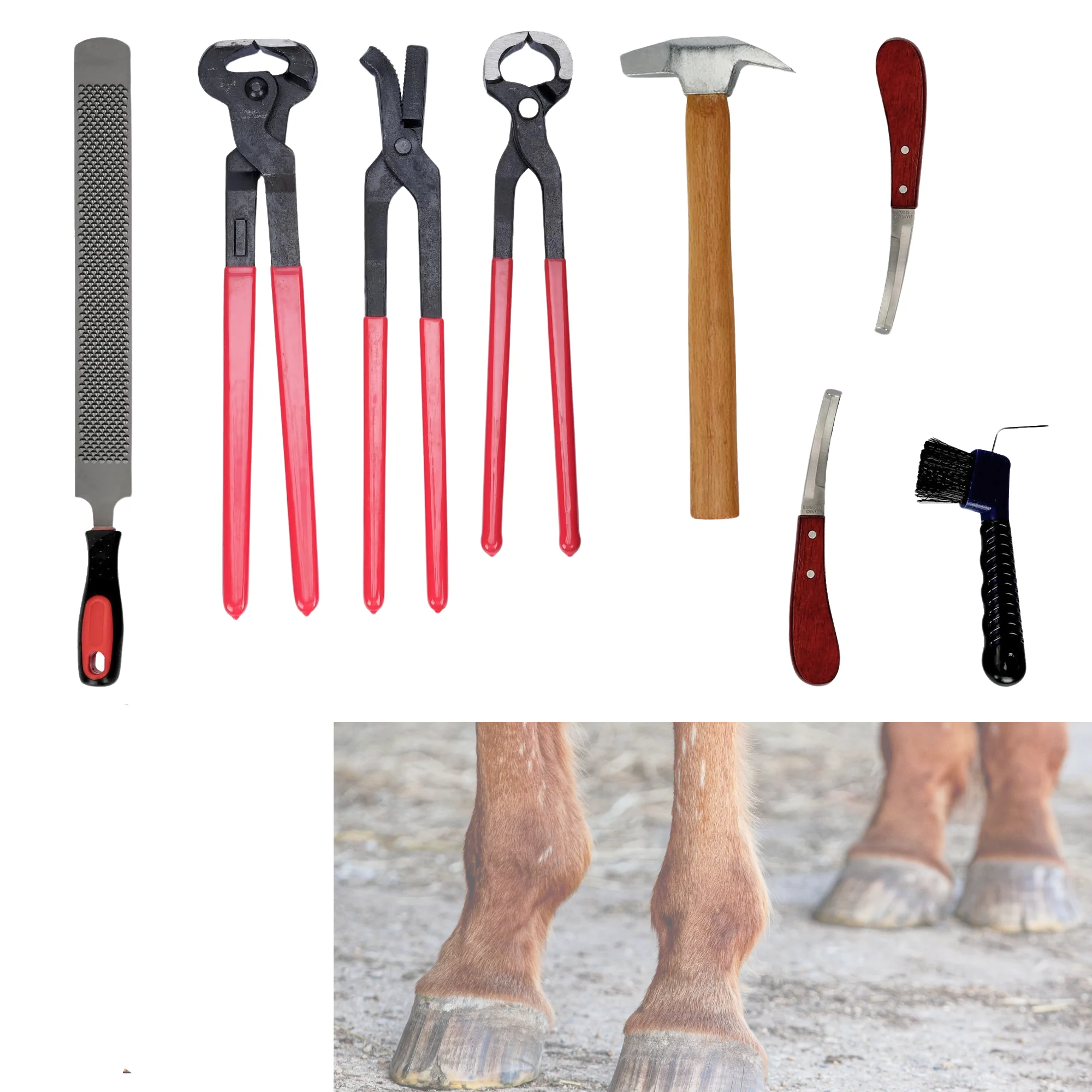Horse Farrier Tools 8Pcs Set, Hoof Trimming Cutter Nipper File Knife Nail Press Pliers Horseshoe Repair Kit
Horse Farrier Tools 8Pcs Set, Hoof Trimming Cutter Nipper File Knife Nail Press Pliers Horseshoe Repair Kit