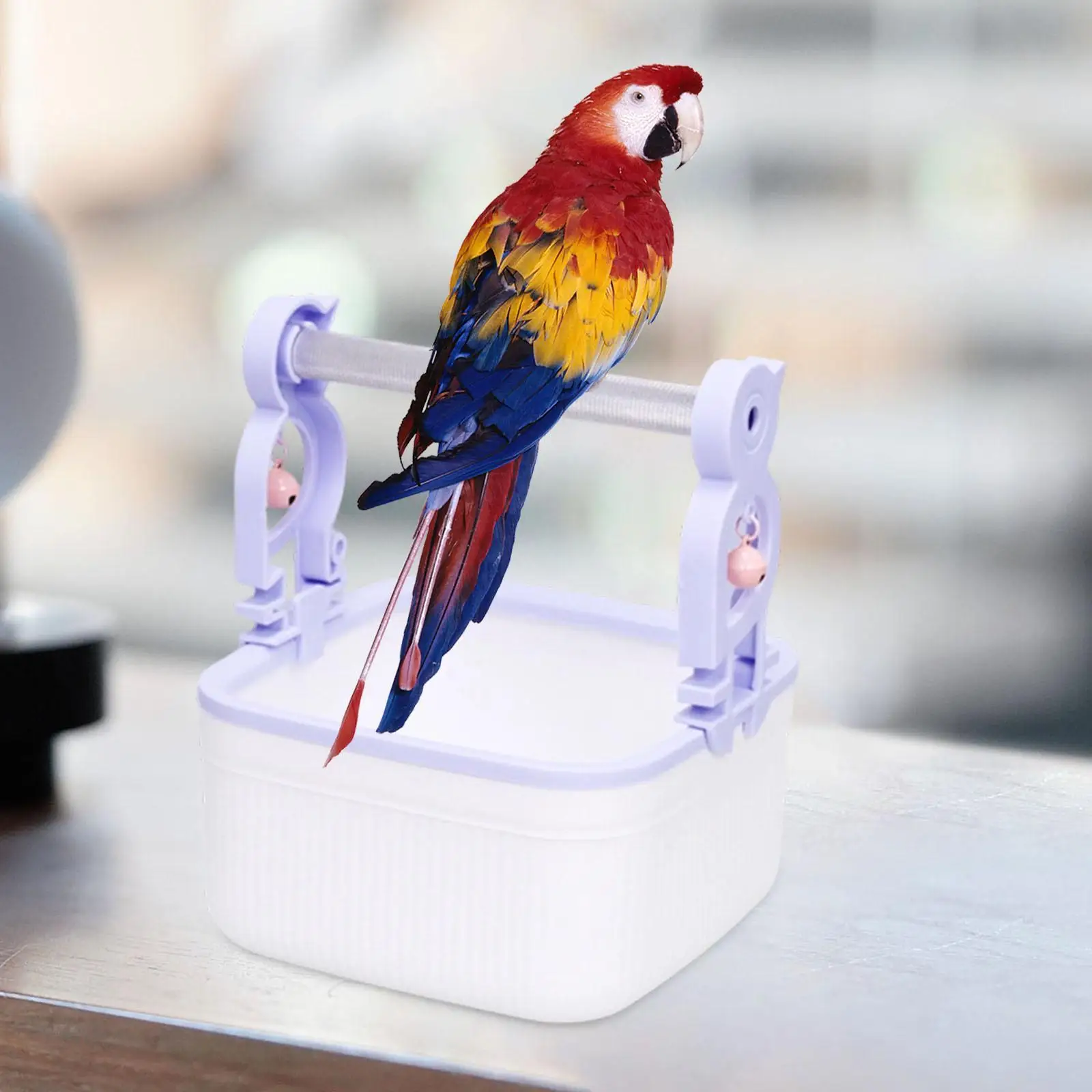 Desktop Bird Perch Stand Activity Toy Training Platform for Parrots Budgies Cockatiels Parakeets Home Use
Desktop Bird Perch Stand Activity Toy Training Platform for Parrots Budgies Cockatiels Parakeets Home Use
