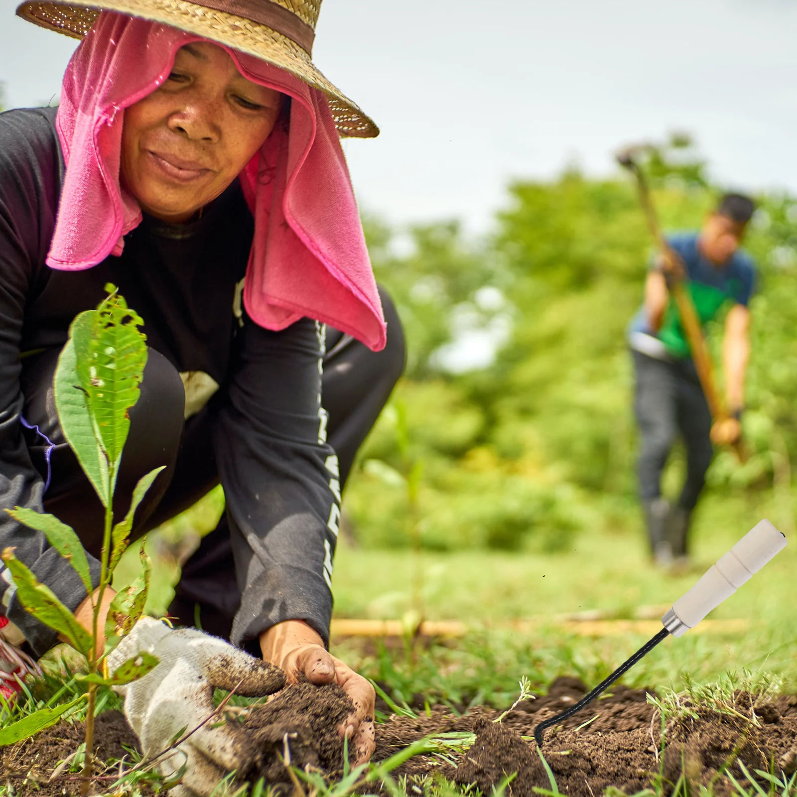 1Pcs Hand Weeder Manual Garden Tool Durable Weed Remover Easy Soil Removal Compact Sturdy Gardening Tool Hand Weeder
1Pcs Hand Weeder Manual Garden Tool Durable Weed Remover Easy Soil Removal Compact Sturdy Gardening Tool Hand Weeder