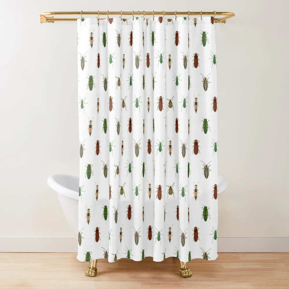Four Beetles Shower Curtain For Bathrooms With Beautiful Designs In The Bathroom Bathroom Accessories Bathroom Decor Curtain
Four Beetles Shower Curtain For Bathrooms With Beautiful Designs In The Bathroom Bathroom Accessories Bathroom Decor Curtain
