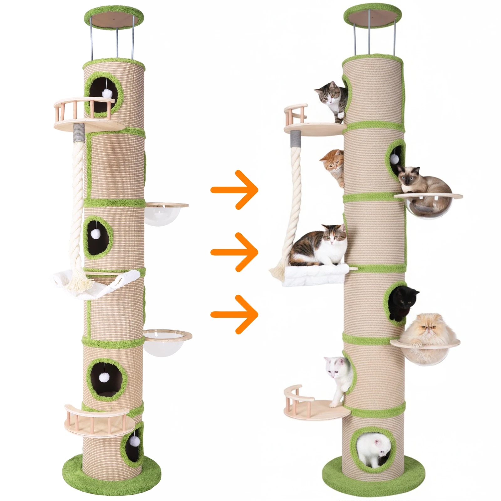 Лесное большое кошачье дерево с сизалевой когтеточкой Современная кошачья башня Супер большая башня для кошачьего дерева для домашних котят
Лесное большое кошачье дерево с сизалевой когтеточкой Современная кошачья башня Супер большая башня для кошачьего дерева для домашних котят