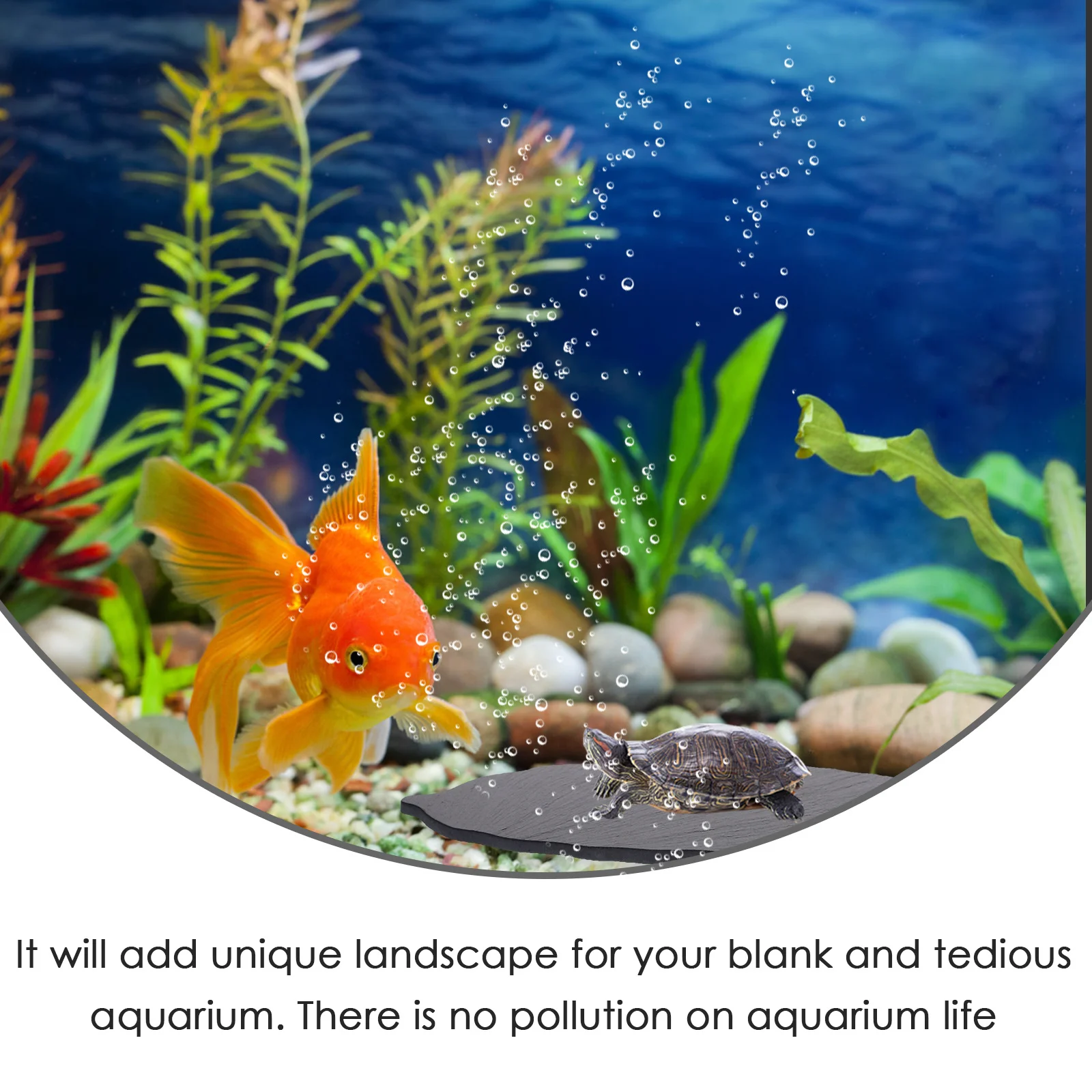 Wear-Resistant Turtle Platform Realistic Rocks Design Multi-Functional Basking Rest Spot for Small Reptiles Tank Decoration
Wear-Resistant Turtle Platform Realistic Rocks Design Multi-Functional Basking Rest Spot for Small Reptiles Tank Decoration