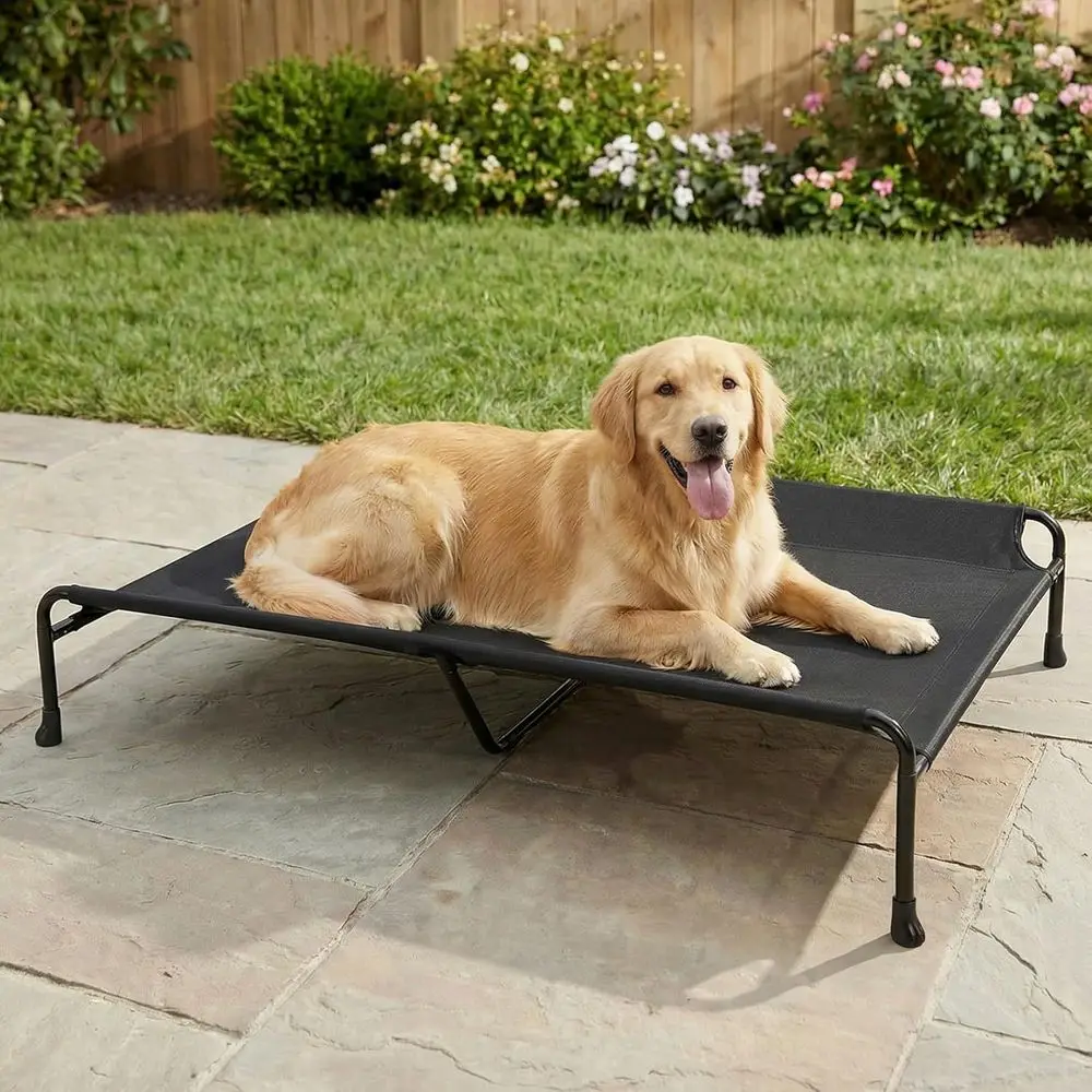 XXL 53 Elevated Dog Bed with Cooling Cot, Non-Skid Base, Washable Mesh, Portable for Indoor or Outdoor Use, Black
XXL 53 Elevated Dog Bed with Cooling Cot, Non-Skid Base, Washable Mesh, Portable for Indoor or Outdoor Use, Black