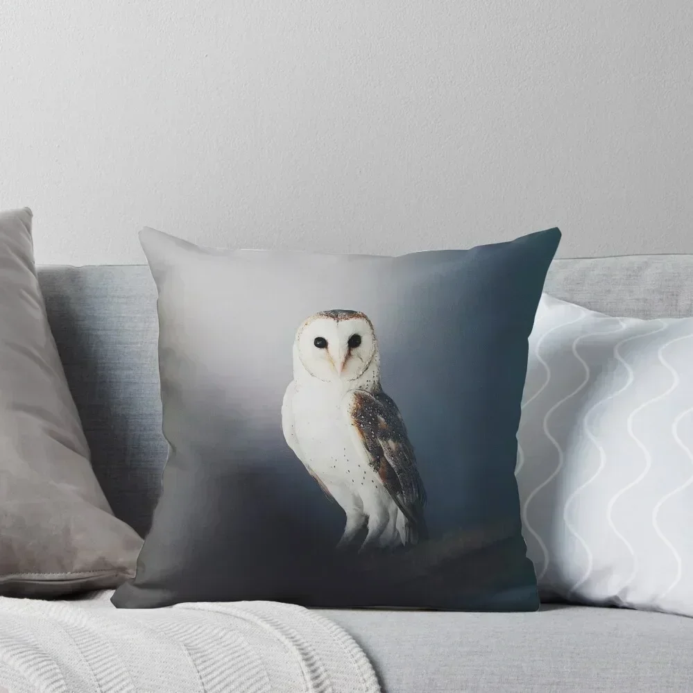 Owl Throw Pillow Luxury Pillow Cover Decorative Cushions For Living Room Pillow Decor Anime
Owl Throw Pillow Luxury Pillow Cover Decorative Cushions For Living Room Pillow Decor Anime