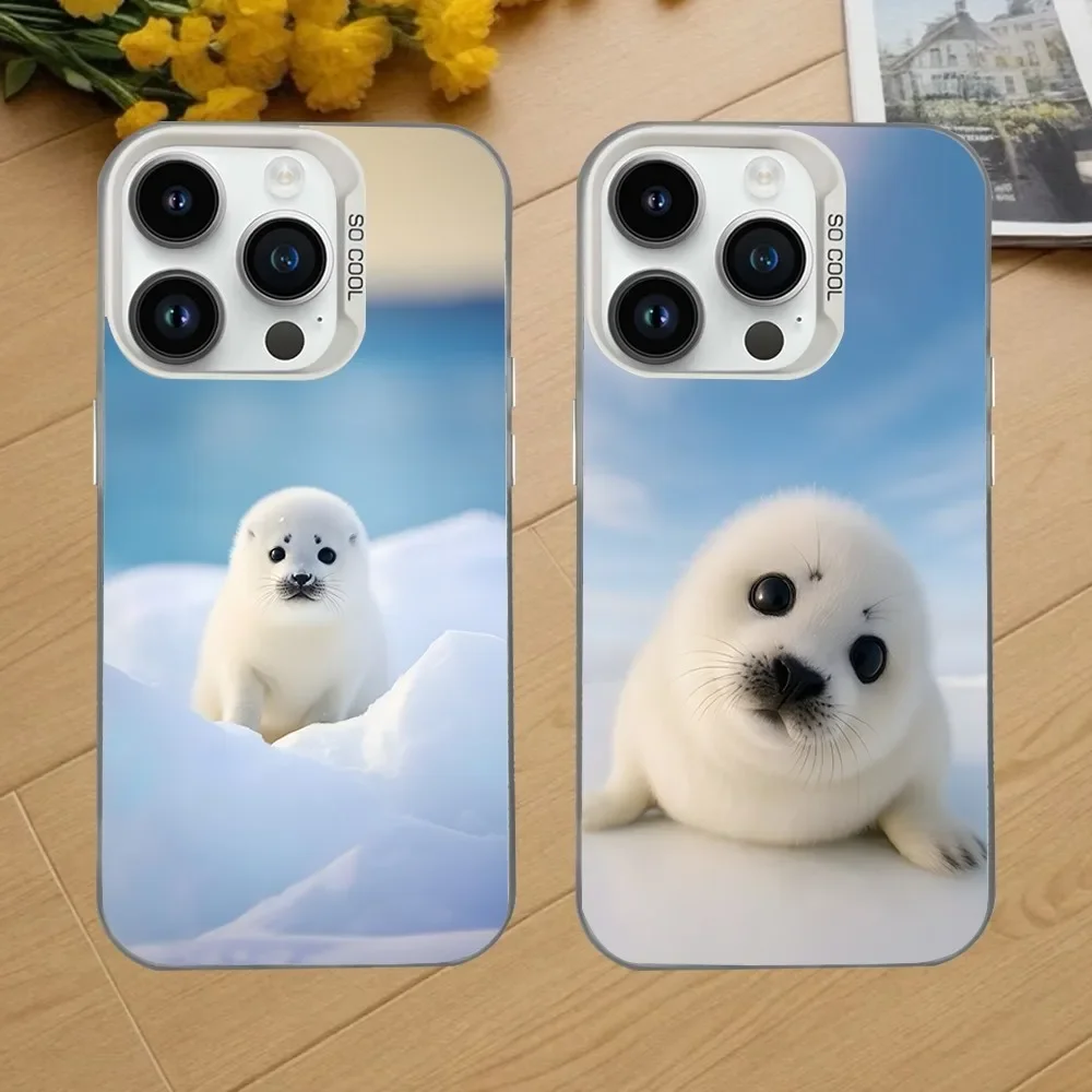 Seal Animal Cute Phone Case For iPhone 16,15,14,13,12,11,Mini,Pro,SE,MAX White Matte Shockproof Cover
Seal Animal Cute Phone Case For iPhone 16,15,14,13,12,11,Mini,Pro,SE,MAX White Matte Shockproof Cover
