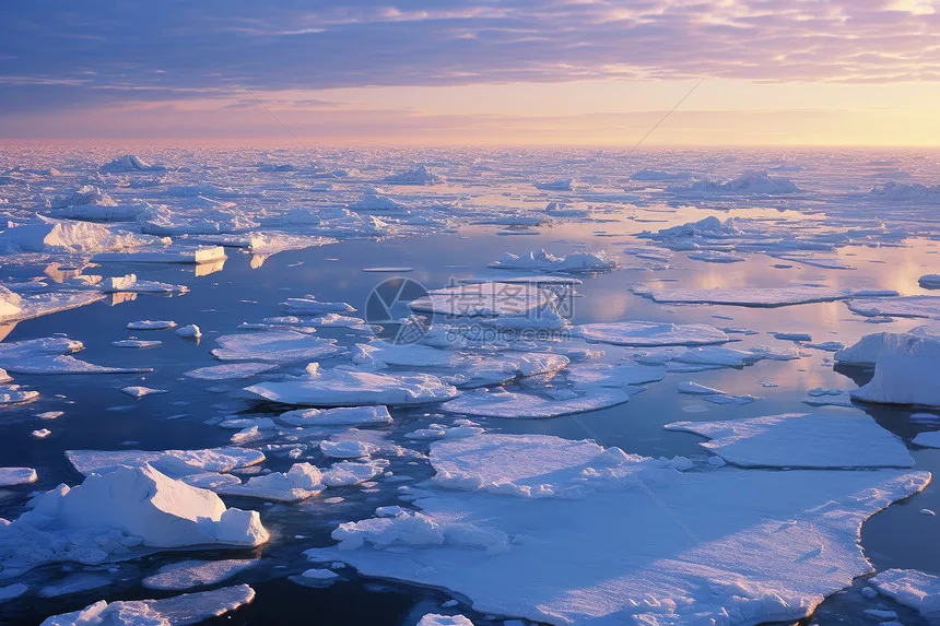 For MJX 1/14 14209 14210 Metal Center Shelf Receiver Box Protective Cover ESC Radio Electronic Tray Upgrade Spare Part
For MJX 1/14 14209 14210 Metal Center Shelf Receiver Box Protective Cover ESC Radio Electronic Tray Upgrade Spare Part